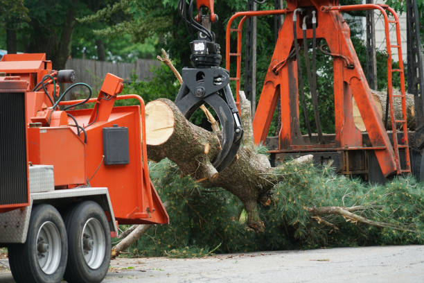Best Aeration Services  in Lordsburg, NM