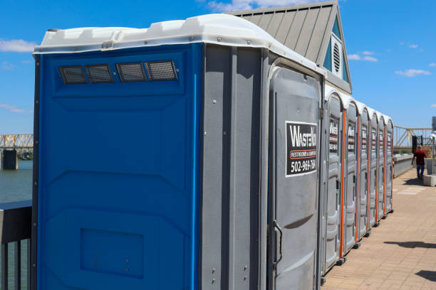 Best Firewood Processing and Delivery  in Lordsburg, NM
