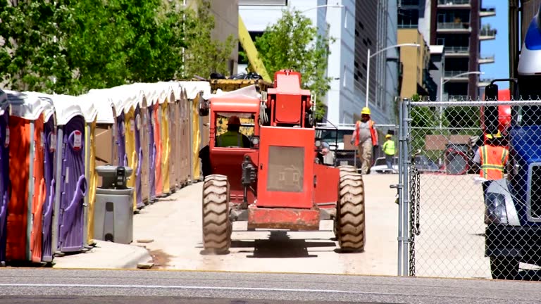 How Our Tree Care Process Works  in  Lordsburg, NM